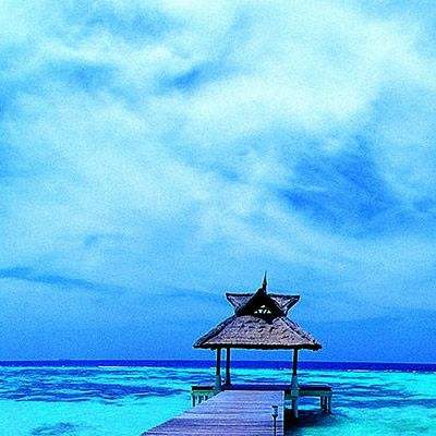 澳门新葡澳京app下载