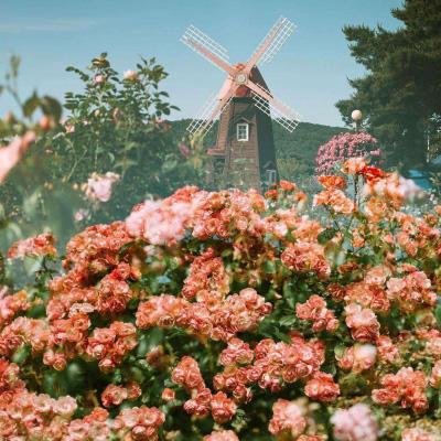 中欧体育·中国官方手机版截图