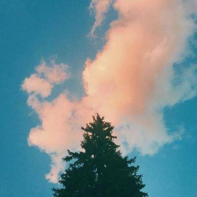 亚搏娱乐中心app下载截图