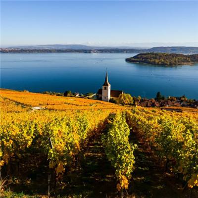 新版江南app登录