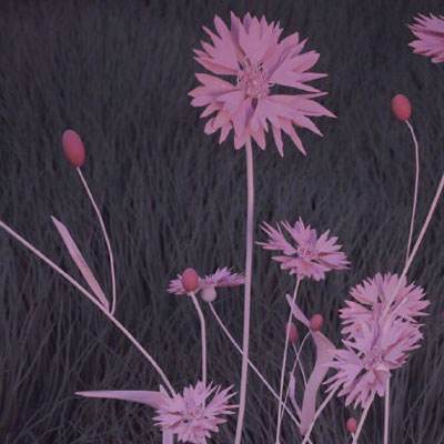 im电竞官方网站手机app下载