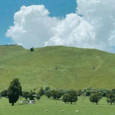 云开平台APP官方全站APP入口