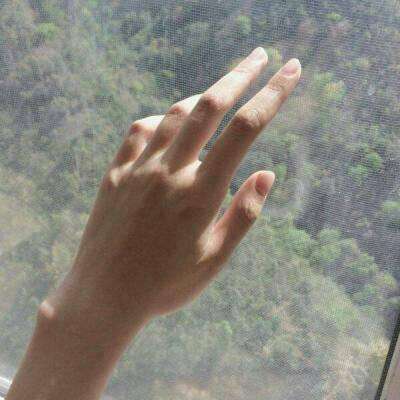 必一体育官方下载入口