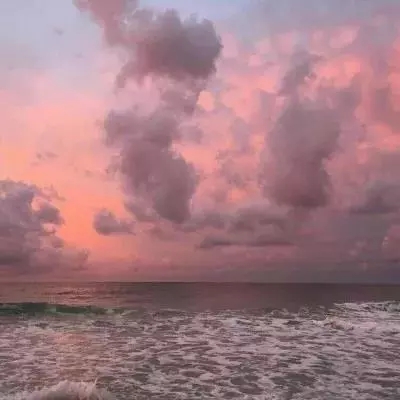 金博宝下载手机版