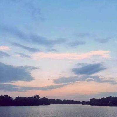 澳门天天免费资料大全下载下载手机版截图