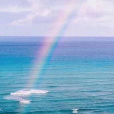 开云·体育平台