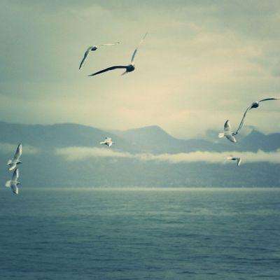 购彩中心welcome官网下载手机版