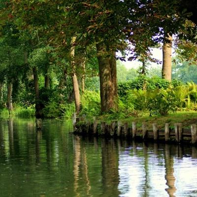 乐鱼游戏app在线登录下载手机版