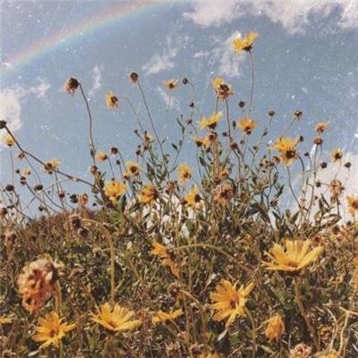 万博ManBetX登录网页版app下载