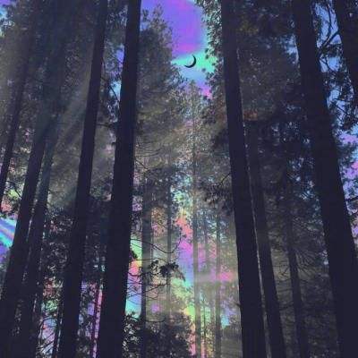 6686体育官网下载