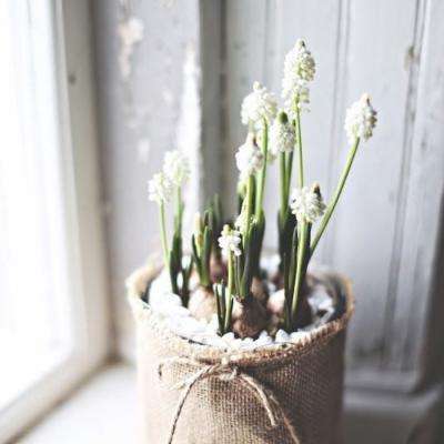 pg麻将胡了下载手机app下载