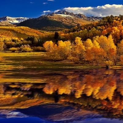 澳门2023全年免费资料大全