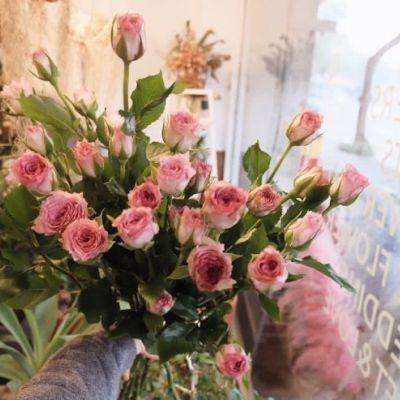 万博·体育-登录入口