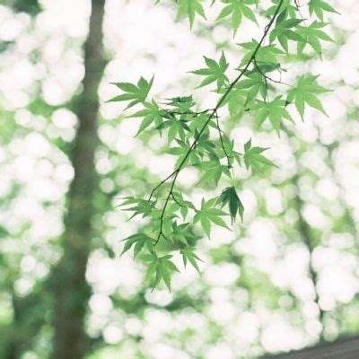 bb平台体育app官网