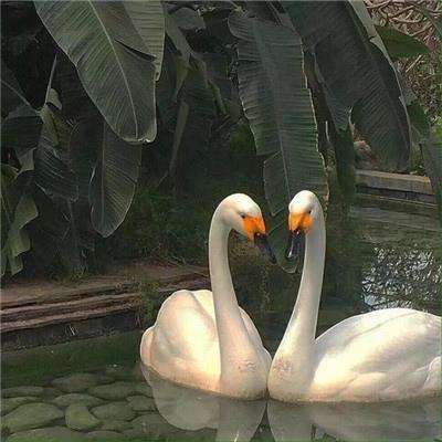 星空体育app下载手机版