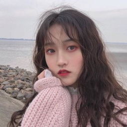 双彩网下载手机版