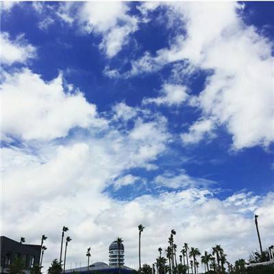 香港今晚六给彩开奖结果下载手机版截图