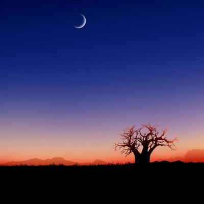 澳门太阳游戏城app下载手机版