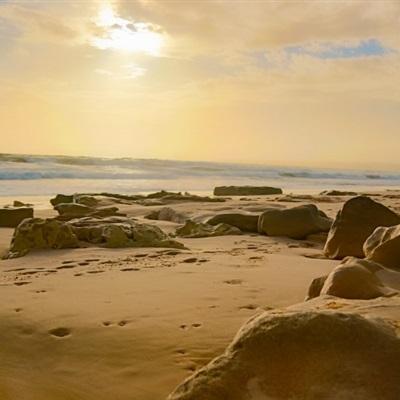 bg博冠APP下载截图