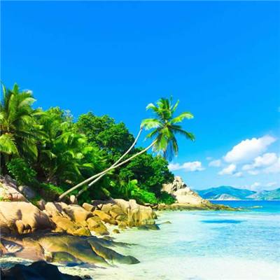 华体会登录手机版