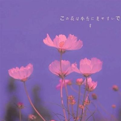 新版江南app登录