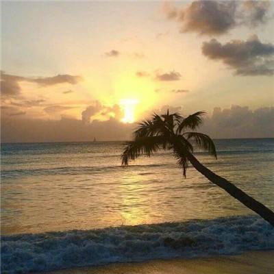 能下钱的打鱼游戏