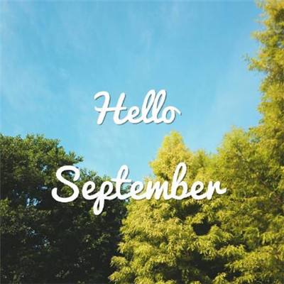 im电竞手机app下载