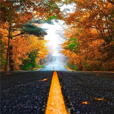 ag真人国际官网下载手机版