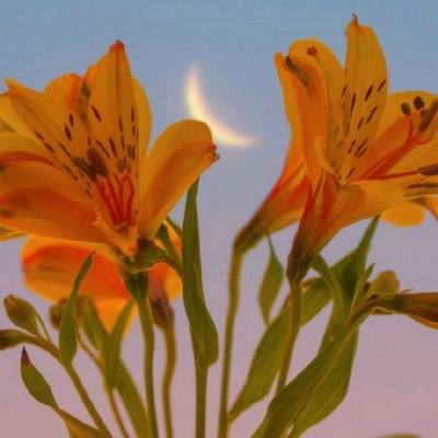 万博(ManBetx)app下载