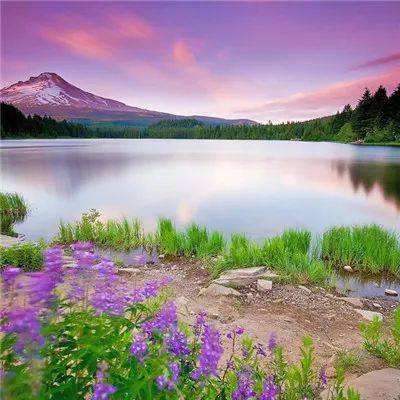 博盈娱乐下载手机版