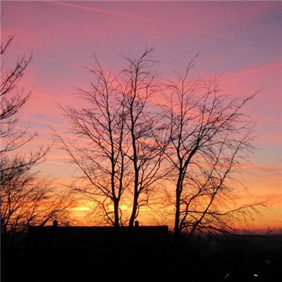 炼爱手游免费下载