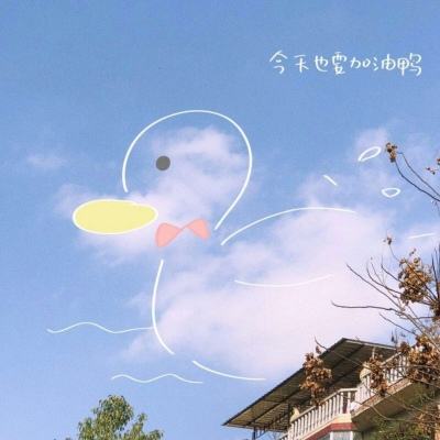 亚搏apo官网下载官方版