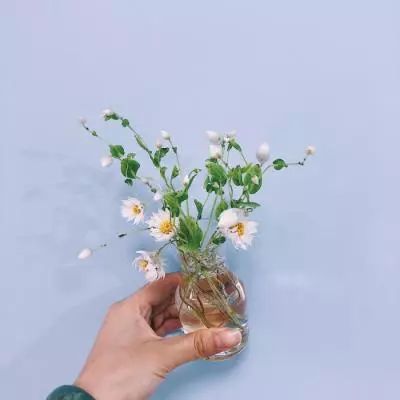 NG体育下载手机版