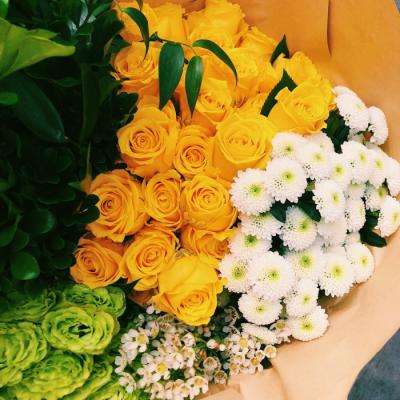 开云APP官方下载