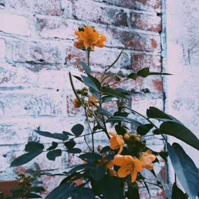 购彩中心welcome入口官方版