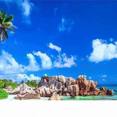 kaiyun·开云下载手机版