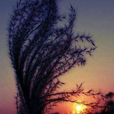 新版江南app登录