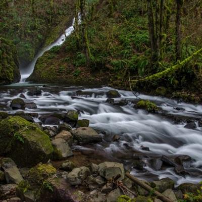 ROR体育app官方下载