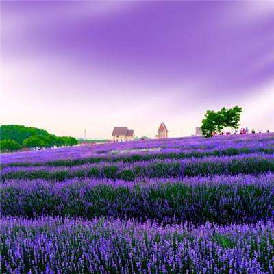 kaiyun全站APP登录官网