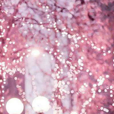 bd体育app官方下载