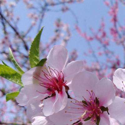 欧意官网下载app交易所