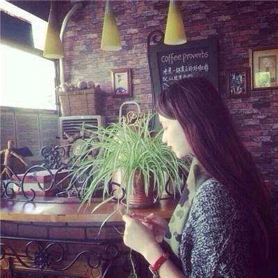 免费的行情网站app