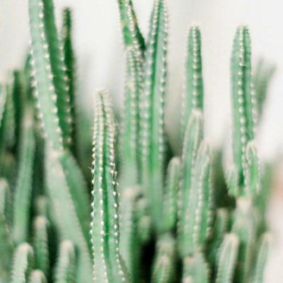 亚虎娱乐app下载手机app下载